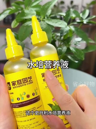 #水培植物 是不是只浇自来水了,那用不了多久就黄叶烂根了,更别说看它开花了#碗莲 #水培#睡莲