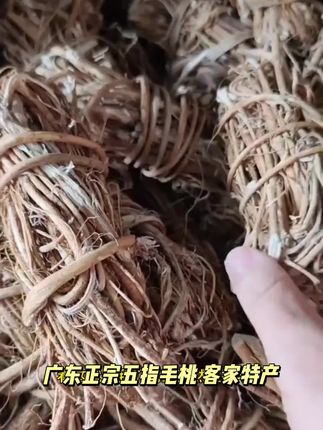 广东正宗五指毛桃 客家特产 深山农产品 无硫生晒 地道汤料