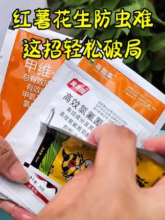 红薯花生等根茎类防虫难?这招轻松搞定!#红薯种植 #花生种植 #根茎类作物 #防虫小妙招 #抖音助力三农