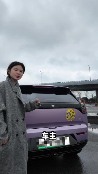 极狐T1 拉布布拉花+隐私隔热太阳膜 这位车主对自己的爱车是真喜欢啊#极狐T1 #拉花车贴 #拉布布拉花 #拉布布改色膜 #车衣改色