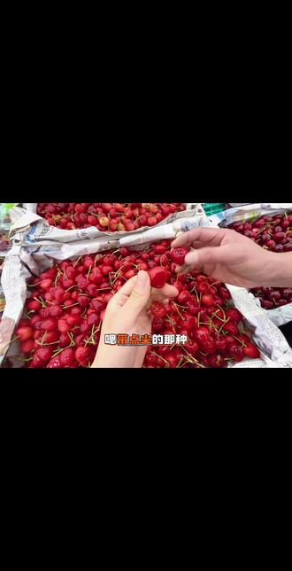 萨米托,布鲁克斯,美早樱桃怎么区分,哪个口感更好吃?#新鲜大樱桃🍒 #又到了炫樱桃的季节 #樱桃优选