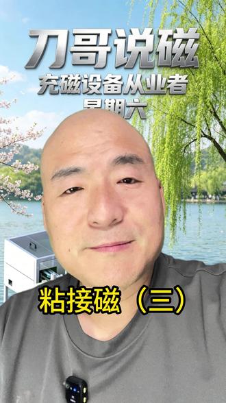 粘接磁(三)#充磁 #钕铁硼 #稀土强磁 #永磁电机 #磁路设计