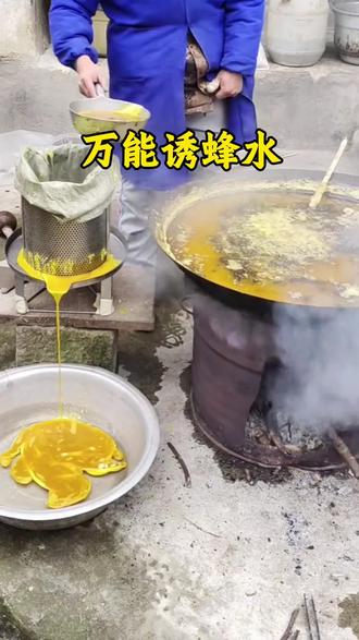 清明前后诱蜂最佳时#蜜蜂 #养蜂技术分享 #养蜂工具