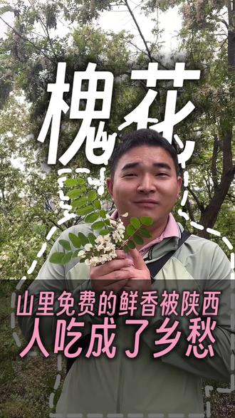 别处槐花都谢完了,就咱宜君还能吃到新鲜槐花,陕西人从小吃到大 #洋槐花吃法 #家乡烟火气 #春日野菜 #陕西特色美食 #农家家常菜
