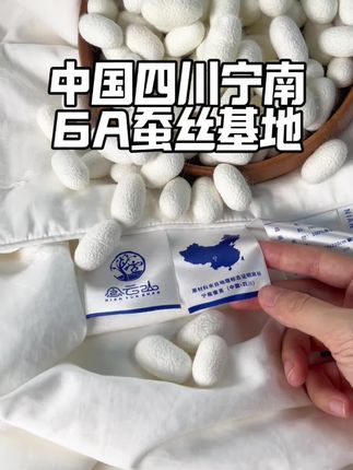 你们夏天都用的什么被子呢~#被子 #蚕丝被 #家纺床上用品 #好物推荐🔥
