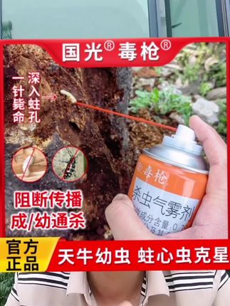 天牛防治 #天牛幼虫防治 #天牛杀虫气雾剂 #天牛幼虫#天牛#果树钻心虫