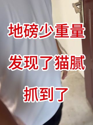 地磅少重量发现了猫腻   抓到了 #大辉狼称重监测防控仪#粮食收购#捍卫称重公平公正,