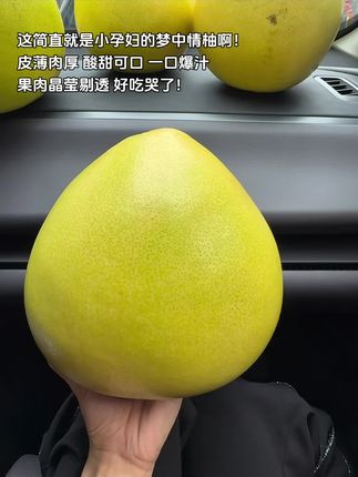 这简直就是小孕妇得梦中情柚啊!皮薄肉厚 酸甜可口 一口爆汁,果肉晶莹剔透 好吃哭了!#新鲜采摘 #脆甜多汁 #柚子 #红心蜜柚 #秋天的第一个柚子