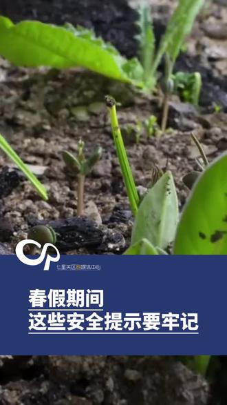 春假期间
这些安全提示要牢记
