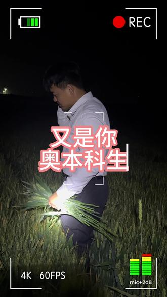 真是又吓我一大跳哎呀 #撩青麦 #金江的返乡生活 #农村生活 #返乡创业青年