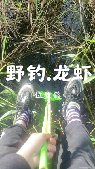 到底是谁想来钓龙虾一看便知。 这里的龙虾怎么也没想到也能在2026年火了一把。下一站想去赶海#野钓#龙虾#8090后 #钓龙虾