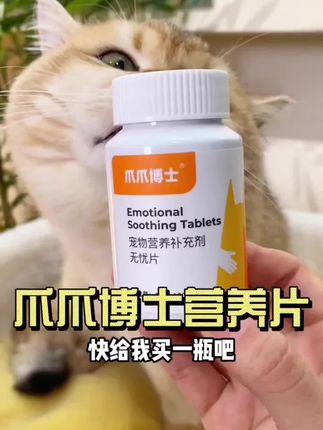 #宠物知识科普 #养猫小百科 #养猫新手 #猫咪发情 #猫咪发情怎么办
