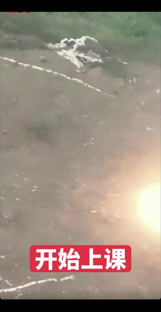 中国陆海空教你怎么发射迫击炮#中国军人 #军事科普 #当兵#军迷发烧友 #军旅