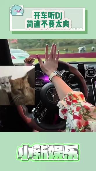 开车不怕路多黑就怕老歌带DJ #汽水音乐 #听歌