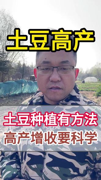 #要用科学的方法种土豆才能高产#土豆种植技术分享#洋芋种植#马铃薯种植#蔬菜种植知识