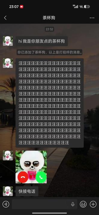 谁家的茶杯狗赶紧牵回家去 #茶杯狗#猎奇#奶龙#整蛊