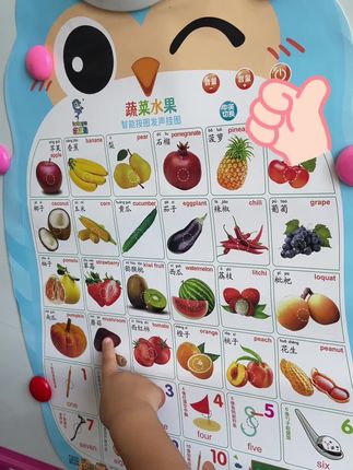 0~3岁宝宝早教有声挂图,标准发音,让孩子跟读。每天学习一点点,宝宝越来越聪明~#益智挂图#幼儿启蒙 #幼儿识字 #专注力练习 #宝妈带娃