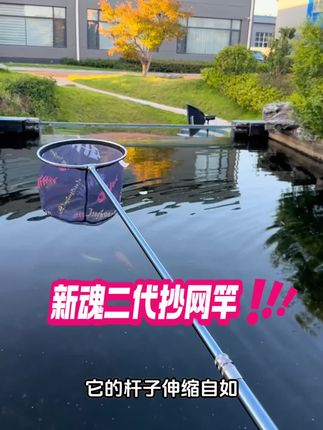 新魂二代抄网竿,价格实惠,你试过#好物推荐🔥 #钓鱼 #佳钓尼海宁店 #户外钓鱼 #抄网杆