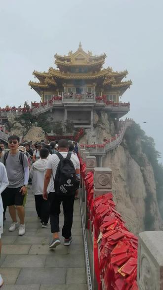 #老君山 上山各种隐形消费太容易了 索道 电梯 滑杆 下山可太难了 原来老话说的山上容易下山难 是这意思懂了