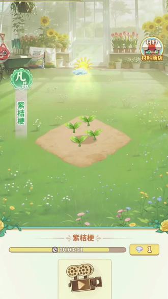 每一次精心培育与插花#魔幻花城