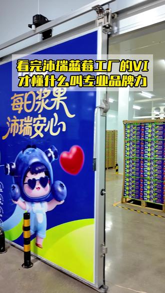 来看沛瑞这一套完整 VI 系统,重新定义品牌质感#蓝莓 #水果 #品牌策划 #vi设计 #包装设计 @抖音小助手