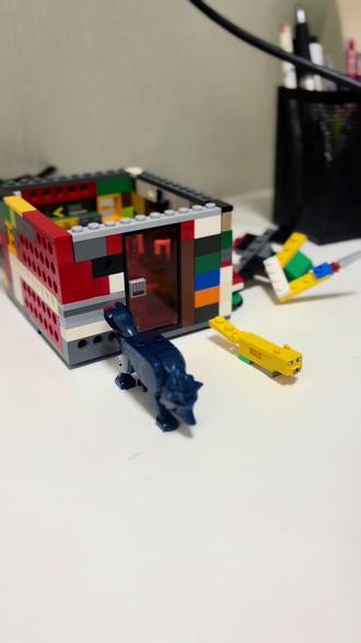 在他的乐高避难所里,住着全世界最勇敢的梦想。
听听这个小建筑师,如何介绍他的乐高安全屋。#谁还没个隐藏技能 #乐高积木搭建 #满级幼崽 #看看你们的娃都在玩什么