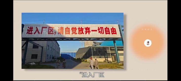 自觉放弃一切自由(小黛晨读)537期