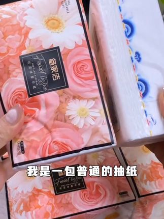 【备家洁】小雏菊抽纸 20 包一箱 500 张加量 家用五层加厚#五层加厚