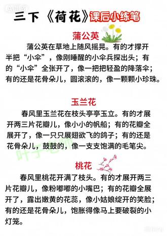 三年级下册《荷花》课后小练笔#小学语文#句子仿写#小学三年级#知识分享