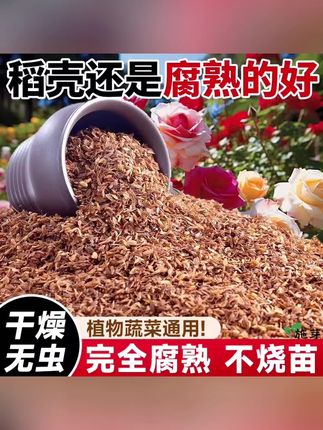 发酵腐熟稻壳营养土腐殖质种花种菜兰花多肉酸性透气稻壳腐熟#发酵稻壳 #腐熟稻壳 #稻壳 #园艺稻壳 #发酵腐熟稻壳