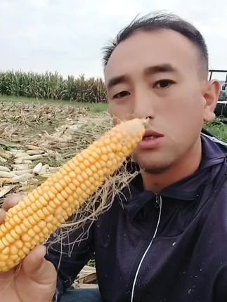 #关注三农 #农民不易 #玉米棒