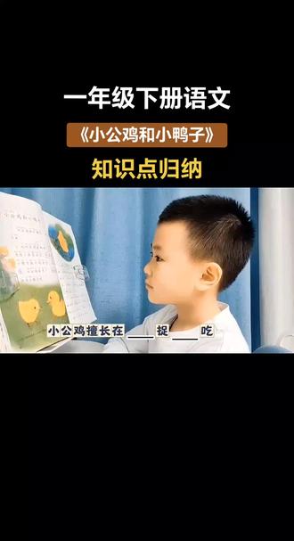 #一年级下册语文 《小公鸡和小鸭子》基础知识汇总