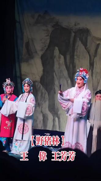 红专剧团【野猪林】,林冲~王伟
林娘子~王芳芳