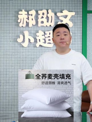 郝劭文推荐#荞麦壳枕头 #荞麦壳枕芯 #护颈椎枕头 #睡眠荞麦壳枕 #郝劭文 荞麦壳枕头颈椎枕宿舍睡眠枕护颈椎枕头荞麦枕头枕芯单人宿舍家用