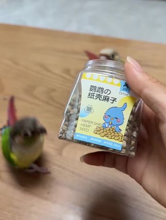 #好物分享#麻子#鹦鹉麻子#鹦鹉零食#鹦鹉