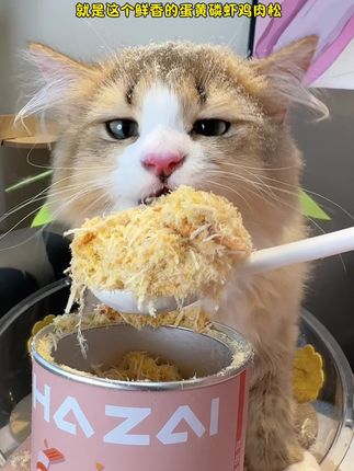 我摊牌了就是这个磷虾蛋黄肉松把我家猫咪吃成成小猪咪毛发靓靓#养猫新手 #萌宠好物 #拌饭肉松宠物