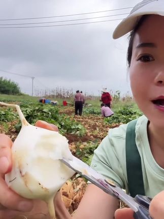 贵州地萝卜凉薯新鲜现挖水果蔬菜优质地:/ 瓜多汁脆甜包邮#贵州地萝卜凉薯#新鲜现挖水果蔬菜#优质地瓜多汁脆甜#爱生活爱美食 #好东西一起分享