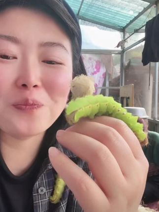 #本月饼脑袋已按时上线 #下饭是湘菜唯一的缺点 #武林外传中秋礼盒开箱 #蚕蛹 #李宇春演唱会后的川菜局