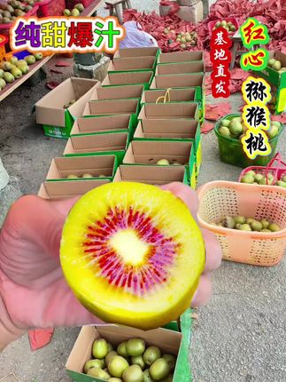#猕猴桃#优质农产品#新鲜采摘 #喜欢吃红心猕猴桃的赶紧下单吧