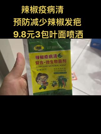 辣椒发疤就用辣椒疫病清,预防减少辣椒发疤,9.8元3包,3年保质期#生态农业 #辣椒 #菜园子有机蔬菜 #农村生活 #种植