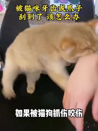 狂犬病毒潜伏期多久? 被猫狗抓了咬了,是否需要打狂犬疫苗?#狂犬病 #新手养狗#养狗经验分享 #狗是人类最忠诚的朋友 #狗狗@DOU+小助手