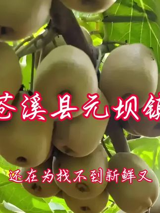 #现摘鲜果#有机管理#优质农产品 #抖音助农 #