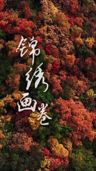 太原的秋天就像锦绣画卷 #秋天 #色彩