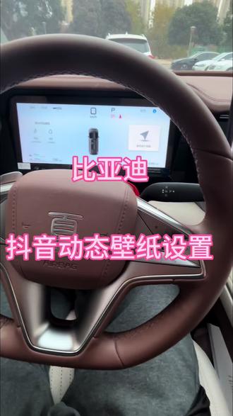 没有都有换不完的壁纸啦!#比亚迪 #比亚迪夏 #比亚迪夏mpv #抖音汽车 #用车小知识