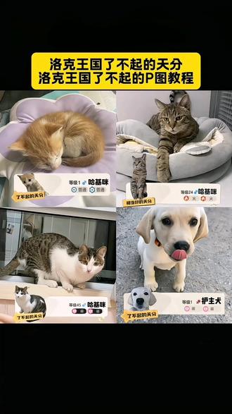 洛克王国了不起的天分P图指令教程 #豆包ai #豆包出大片有两把刷子 #洛克王国快速升级攻略 #洛克王国好玩吗 #洛克王国王国了不起的p图 洛克王国了不起的p图素材 洛克王国素材图片 洛克王国手游 醒图焚决的神 质感美学