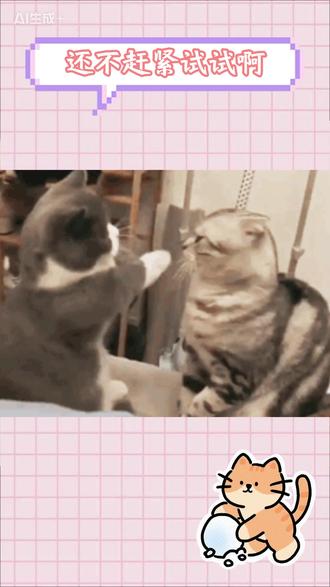 想听歌还不赶紧来番茄音乐试试#番茄音乐 #免费听歌