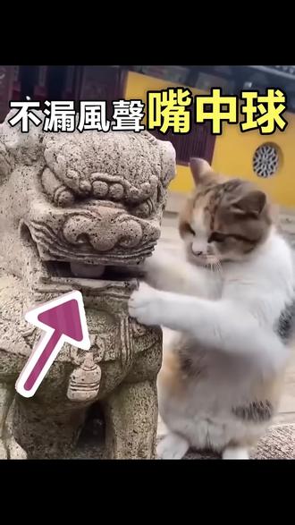 石球原來是這樣來的!