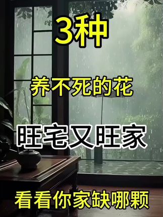 3种养不死的花,旺宅又旺家,看你家缺哪一棵?#金钻绿公主#绿植