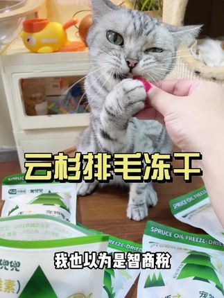家里常备些云杉排毛冻干,这样猫咪吐的时候,就不会干看着急了#新手养猫 #萌宠好物