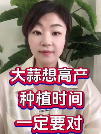 #三农 #种蒜 #种大蒜